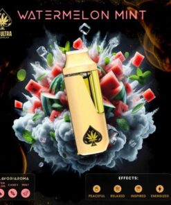 Ace Ultra Premium: Watermelon Mint